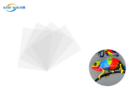 Ein guter Preis. Herkömmlicher Wärmeübertragungs-Film-weiße Farbe der Breiten-60cm 33cm 30cm DTF Online