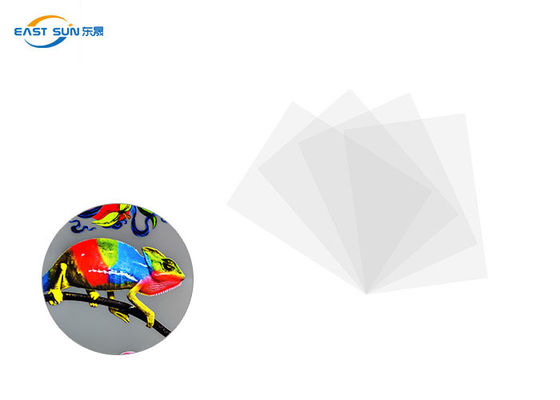 Ein guter Preis. Film-kalte Schale 0.075mm HAUSTIER Blatt DTF A3 A4 für Digital-Drucken Online