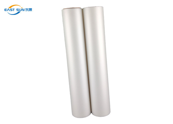 Good price 30cm 33cm 60cm kaltes Schale HAUSTIER DTF, das Filmstreifen-Wärmeübertragung druckt Online